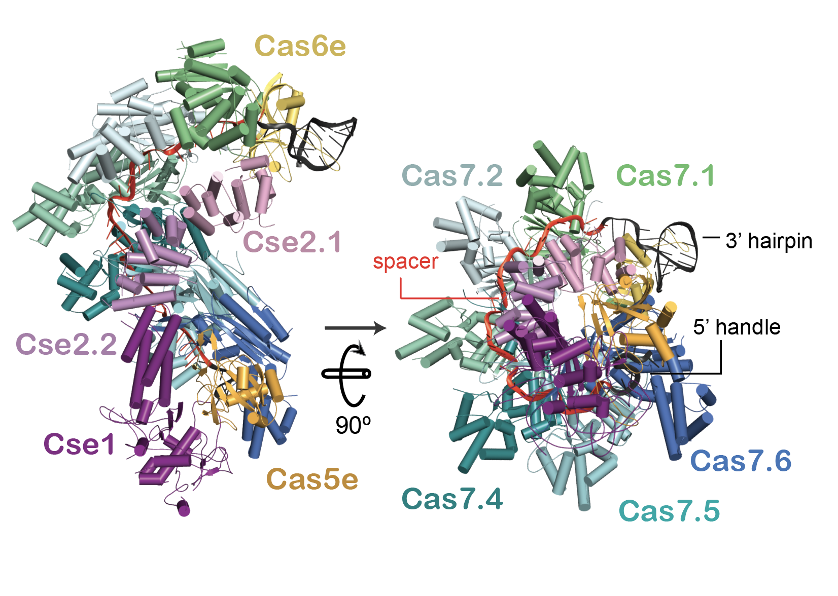 publication illustration